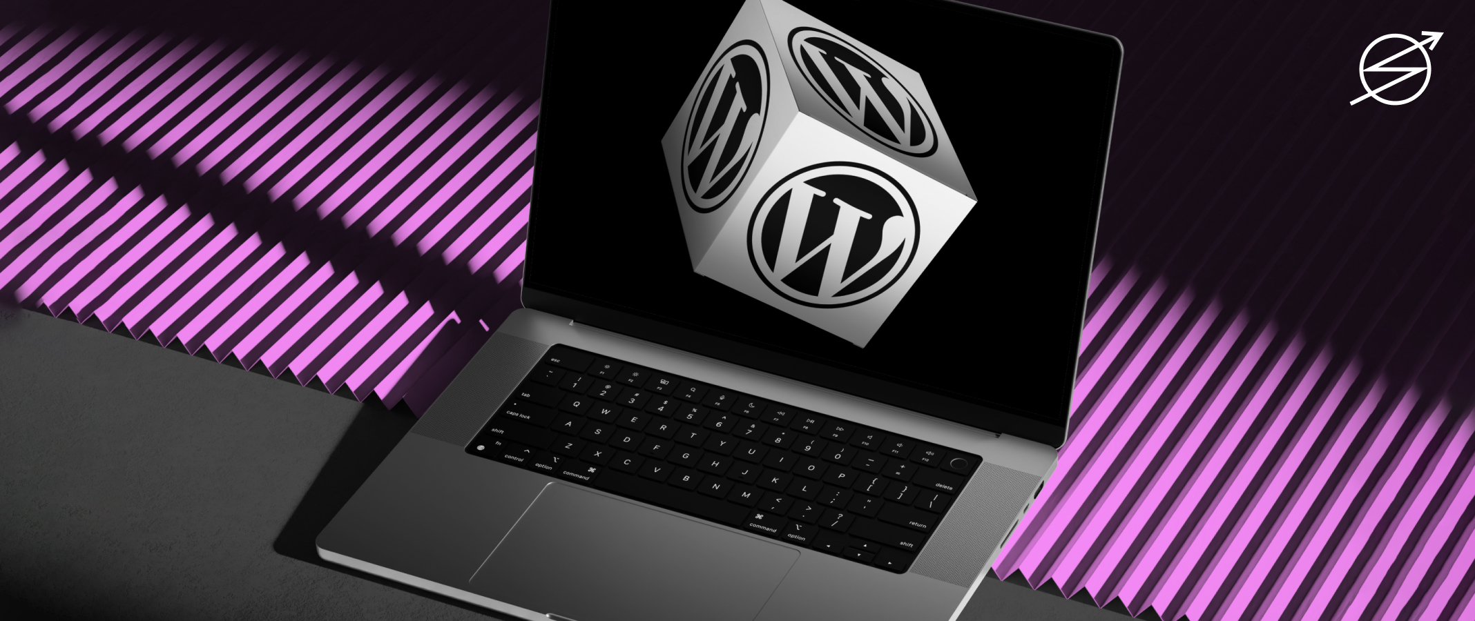 WordPress: Výhody a nevýhody + pluginy, které je fajn znát