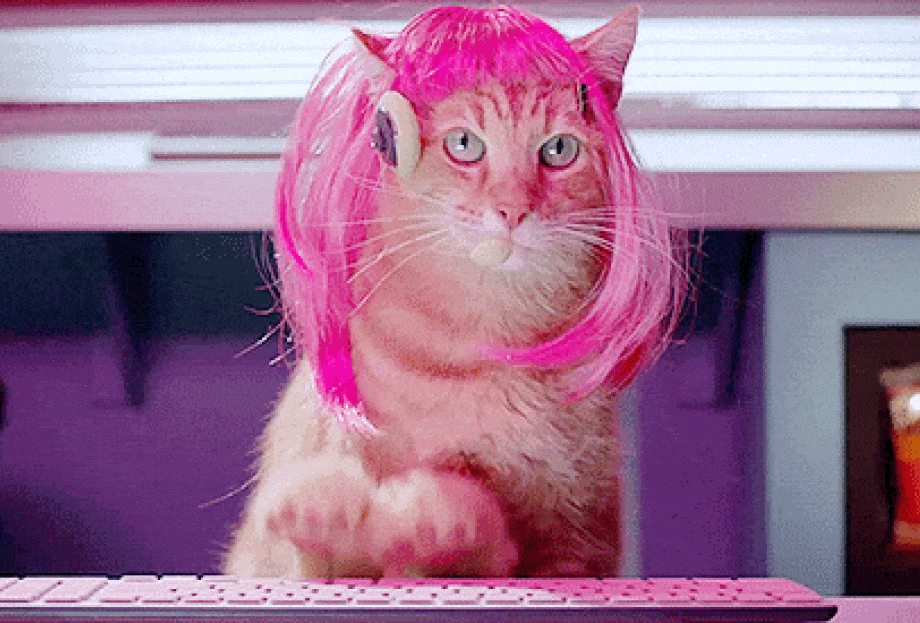 MANAGEMENT V UMĚNÍ A KULTUŘE