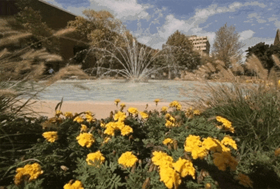 KERTTERVEZÉS KEZDŐKNEK