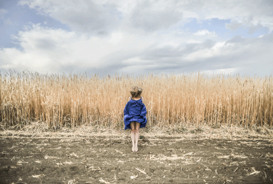 FOTOGRÁFIA AZ ALAPOKTÓL