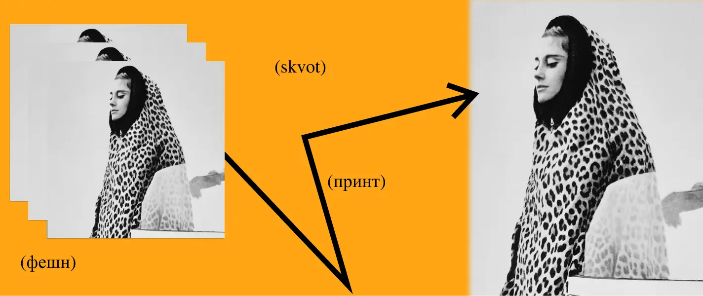 Луска, смужка, пляма: що нам відомо про тваринні принти