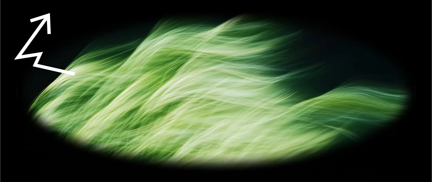 В самому центрі хаосу — нові можливості. Конспект конференції Lastivka