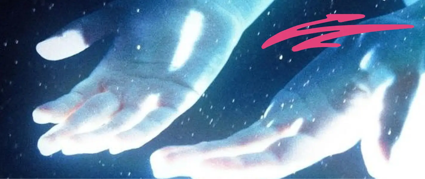 Фінансові можливості для творчих проєктів: 14 грантів