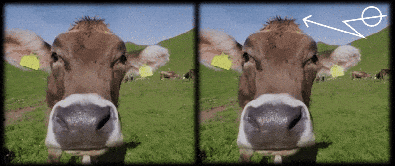 Дві історії тих, хто захищає Україну та права тварин