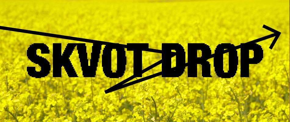 SKVOT DROP – przegląd czerwcowych nowości