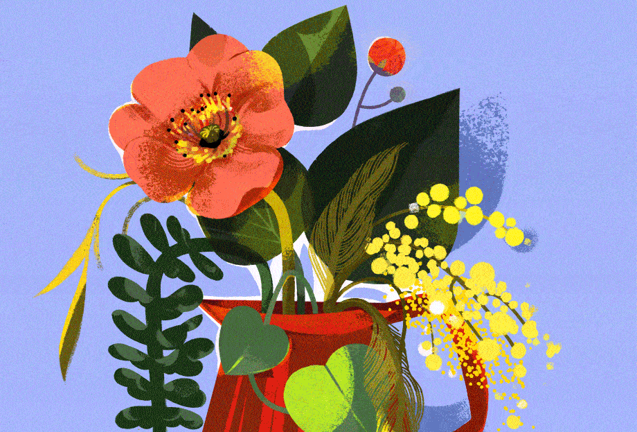 ILUSTRACJA