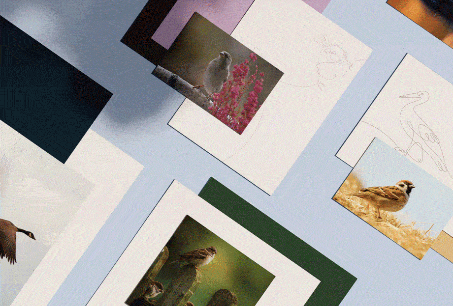 GRAPHIC DESIGN W PRAKTYCE