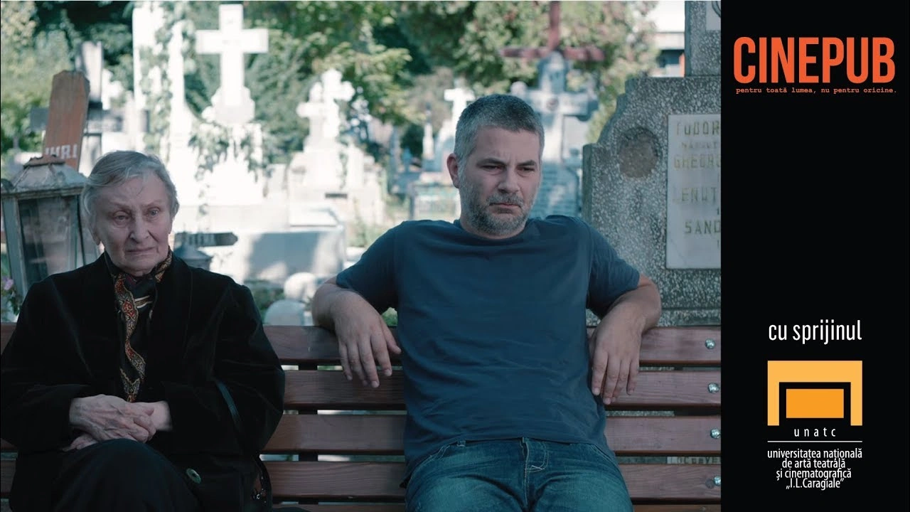 Toate fluviile curg în mare