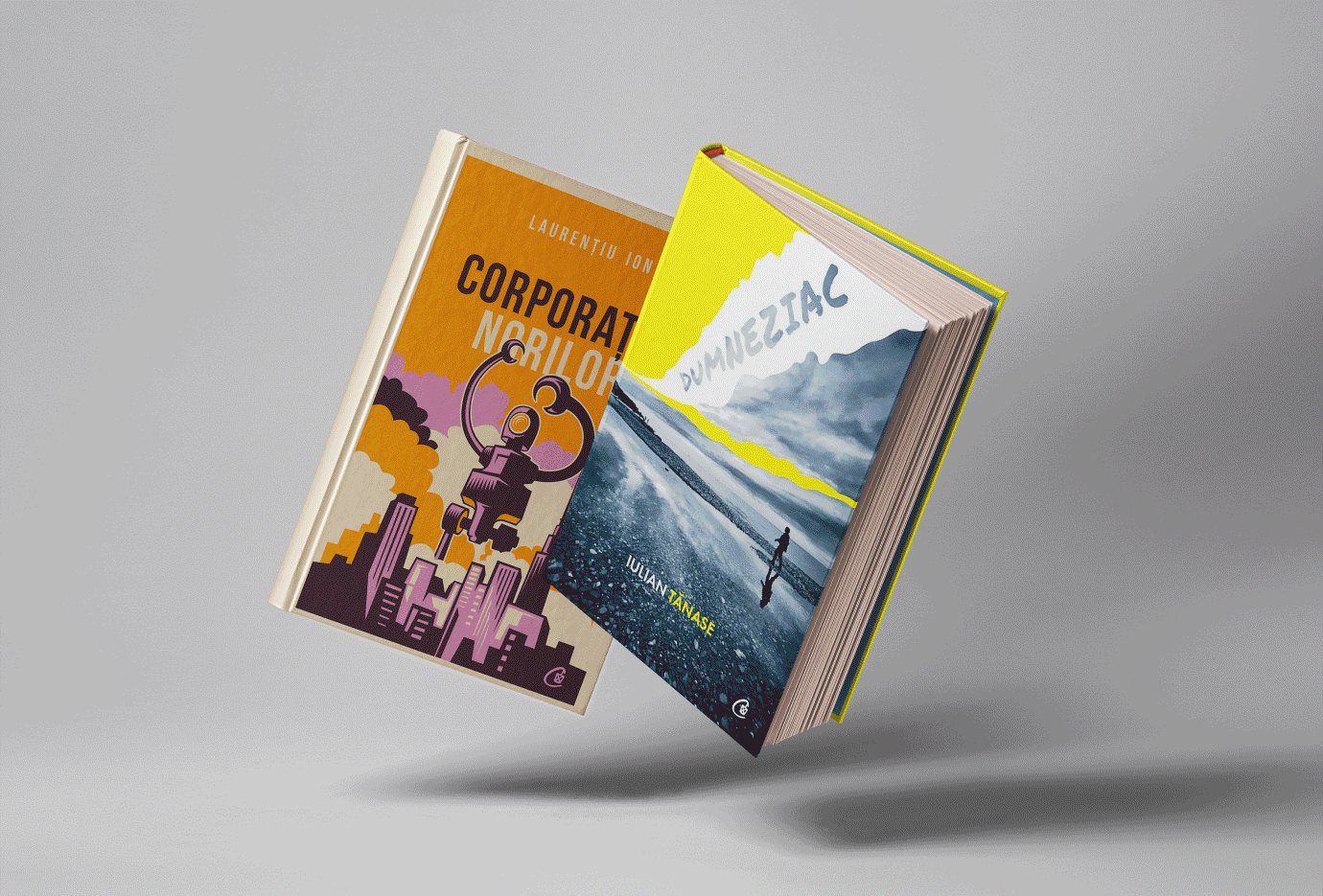 Editor de carte